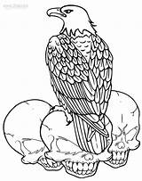 Eagle Bald Coloring Pages Printable Drawing American Kids Head Sheets Line Color Getdrawings Sheet Cool2bkids Getcolorings Print Bluegill sketch template