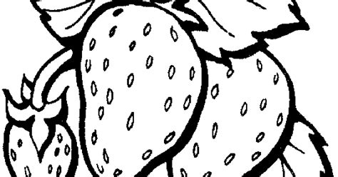 fresh strawberry coloring pages learn  coloring