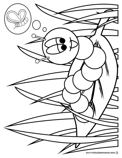 metamorphosis  caterpillar coloring pages  pictures print color