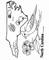 Carolina Coloring North State Pages Map Nc Symbols Unc Outline Printables Printable Kids Print Color Sheets Shape Usa Clipart States sketch template