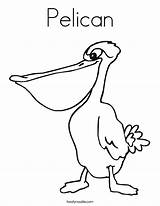 Coloring Pages Pelican Name Pelicans Worksheet Print Orleans Color Twistynoodle Noodle Printable Says Cursive Getcolorings Outline Bird Twisty Built California sketch template