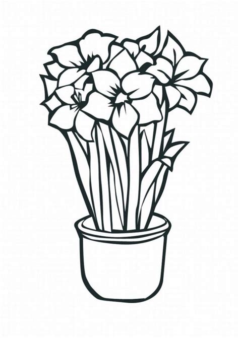 funny tropical flower coloring pages lrg top resolutions coloring home