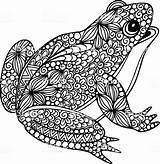 Frosch Ausmalen Malvorlage Doodle Frog Abstract Ornate Illustrationen Istockphoto Ausmalbild sketch template
