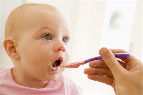 feed  baby solids