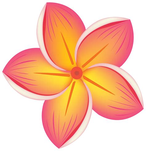flower clipart   flower clipart png images