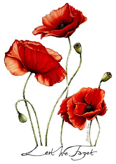 Anzac Day Poppies Original Artwork A4 Alexandra Nea