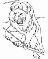 Lion Circus Coloring Walking Pages Rope Drawing Color Colorluna Print Luna Getdrawings Colouring Getcolorings Button Through Sheet sketch template