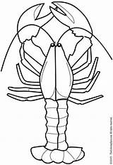 Lobster Kreeft Dibujos Tekenen Coloring Langostas Crustaceos Tekening Hummer Idibujos Zoeken Tekeningen Wikiclipart sketch template