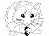 Coloring Pages Hamsters Hamster Popular sketch template
