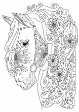 Getrokken Antistress Schets Tangle Volwassen Paardhoofd Kleurend Lopende Eenhoorn Uitstekende Detailed sketch template