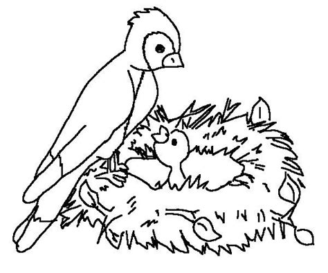 kids page birds coloring pages printable birds coloring picture