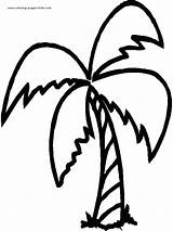 Palm Tree Coloring Pages Clipart Clip Trees Printable Color Drawing Nature Leaf Leaves Template Food Kids Sheet Sheets Sunday Branch sketch template