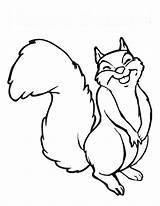 Squirrel Coloring Pages Print Color sketch template