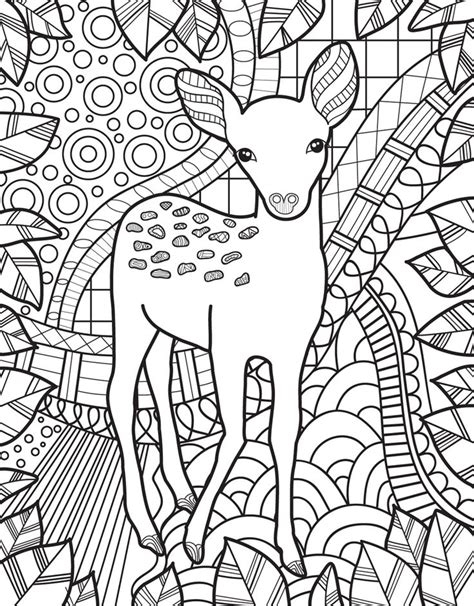 images  animal coloring pages  adults  pinterest
