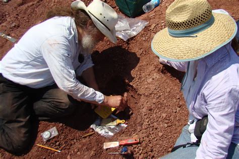 digging  fossils beyondbones