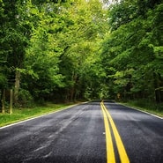 Image result for Fr - Forest Road. Size: 185 x 185. Source: wallpaperaccess.com