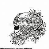Coloring Dog Pages Head Zentangle Tribal Style Getcoloringpages sketch template