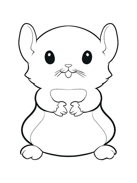 hamster coloring pages  coloring pages  kids