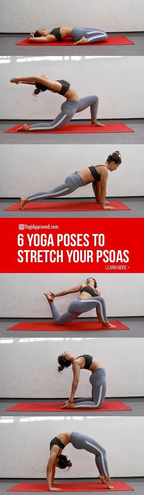 psoas defined explained  explored   yoga poses yoga