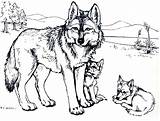 Ausdrucken Cub Ausmalbilder Brandmalerei Howling Malvorlage Pup Malvorlagen Animal Adler Wolfs Vorlagen Getdrawings Getcolorings sketch template