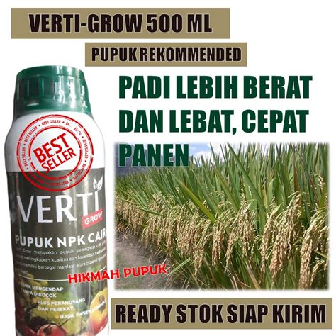 Jual Pupuk Terbaik Verti Grow Melebatkan Padi Besar Maksimal Obat