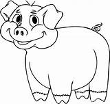 Pig Cartoon Drawing Templates Animal Coloring Pages Template Draw Cute Animals Easy Simple Pigs Drawings Step Colour Colouring Fill Color sketch template