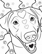 Coloring Pages Dog Lab Puppy Etsy Labrador Adult Colouring Book sketch template
