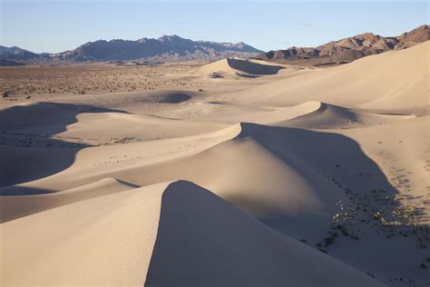 sand dunes mojave desert california geology pics