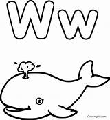 Whale Coloringall Lowercase Hale sketch template