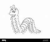 Millipede Outline Cartoon Centipede Isolated Character Background Clip Stock Illustrations Clipart Vector Vectors Alamy Dreamstime sketch template