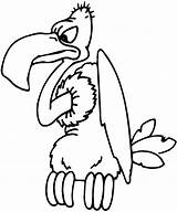 Coloring Pages Bird Vulture Cartoon Printable sketch template