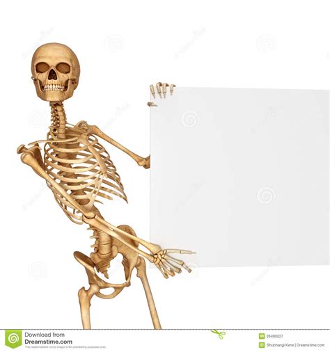 skeleton holding a sign in a pose royalty free stock