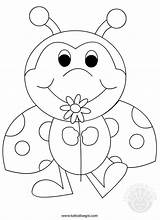 Coccinella Coccinelle Tuttodisegni Animali Ladybug Kindergarten Coloriage sketch template