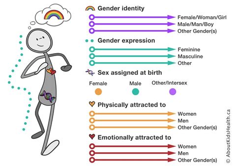 Sex Gender And Sexual Orientation An Overview