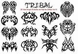Brushes Tribal Ps Vol Abr Photoshop Celtic Brusheezy sketch template