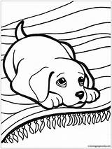 Puppy Pages Lying Coloring Cute Carpet Color Online sketch template