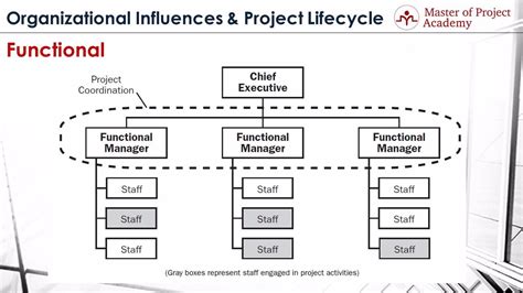 organizational structure 3 common types of organization structure in