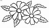 Drawings Clipart Flower Drawing Flowers Library Pages Colouring sketch template