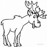 Elk Elch Alce Mammals Kostenlose Deers Druckbare Cool2bkids sketch template
