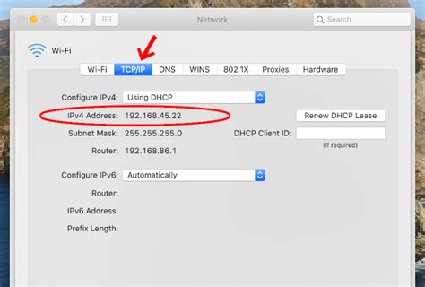 how to find your ip address