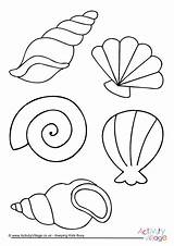 Colouring Shell Pages Sea Coloring Beach Summer Shells Seaside Kids Seashell Colour Drawing Mar Mermaid Crafts Activityvillage Fun Da Become sketch template