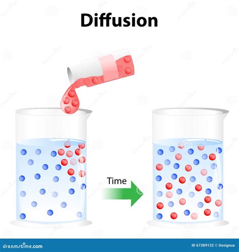 diffusion stock vector image