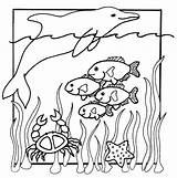 Coloring Ocean Pages Dolphin Kids Printable sketch template