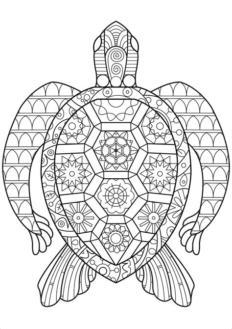 tortoise coloring pages coloringbay