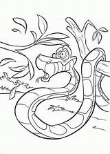 Jungle Pages Book Coloring Kaa Snake Kids sketch template
