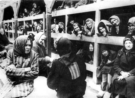 En Images Il Y A 70 Ans La Libération Du Camp De Concentration D