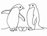 Animals Coloring Arctic Pages Tundra Penguin Couple Drawing Printable Polar Getdrawings Preschoolers Animal Kids Color sketch template