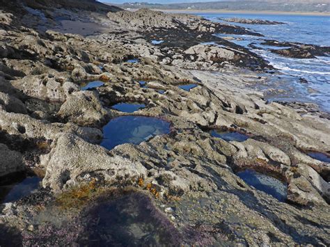 photographs  oxwich  horton swansea wales rock pools