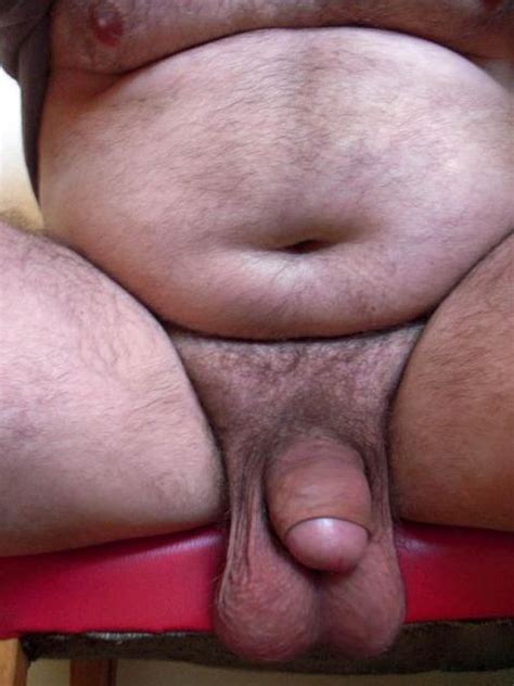 fat hairy bellies image 4 fap