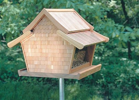 bird feeder plans  patterns explore   results updated